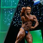 Hidetada  Yamagishi - IFBB Arnold Europe 2012 - #1