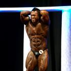 Hidetada  Yamagishi - IFBB Arnold Europe 2011 - #1