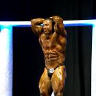 Sergey  Shelestov - IFBB Arnold Europe 2011 - #1