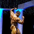 Sergey  Shelestov - IFBB Arnold Europe 2011 - #1