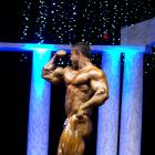 Sergey  Shelestov - IFBB Arnold Europe 2011 - #1