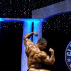 Sergey  Shelestov - IFBB Arnold Europe 2011 - #1