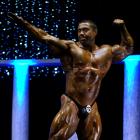 Sergey  Shelestov - IFBB Arnold Europe 2011 - #1