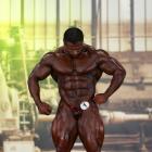 Baitollah  Abbaspour - IFBB FIBO Power Pro Germany 2013 - #1