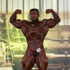 Baitollah  Abbaspour - IFBB FIBO Power Pro Germany 2013 - #1