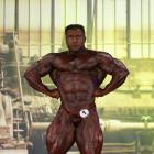 Baitollah  Abbaspour - IFBB FIBO Power Pro Germany 2013 - #1