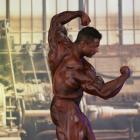 Baitollah  Abbaspour - IFBB FIBO Power Pro Germany 2013 - #1