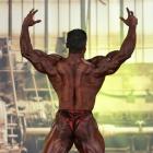 Baitollah  Abbaspour - IFBB FIBO Power Pro Germany 2013 - #1