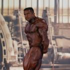 Baitollah  Abbaspour - IFBB FIBO Power Pro Germany 2013 - #1