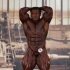 Baitollah  Abbaspour - IFBB FIBO Power Pro Germany 2013 - #1