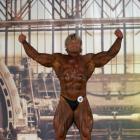 Dainius  Barnzinskas - IFBB FIBO Power Pro Germany 2013 - #1