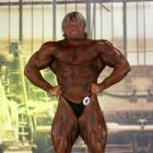 Dainius  Barnzinskas - IFBB FIBO Power Pro Germany 2013 - #1