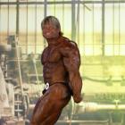 Dainius  Barnzinskas - IFBB FIBO Power Pro Germany 2013 - #1