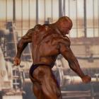 Robert  Piotrkowicz - IFBB FIBO Power Pro Germany 2013 - #1