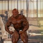 Robert  Piotrkowicz - IFBB FIBO Power Pro Germany 2013 - #1