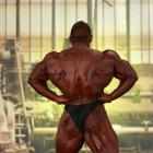 Daniel  Toth - IFBB FIBO Power Pro Germany 2013 - #1