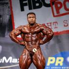 Baitollah  Abbaspour - IFBB FIBO Power Pro Germany 2013 - #1