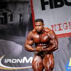 Baitollah  Abbaspour - IFBB FIBO Power Pro Germany 2013 - #1