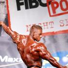 Daniel  Toth - IFBB FIBO Power Pro Germany 2013 - #1