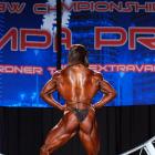 Rita  Bello - IFBB Wings of Strength Tampa  Pro 2016 - #1