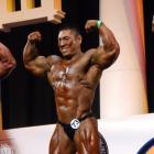 Men Bodybuilding  PreJudge - IFBB Arnold Amateur 2013 - #1