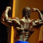 NPC Royal Palm Classic 2012 - #1