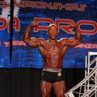 Steve  Burke - IFBB Wings of Strength Tampa  Pro 2016 - #1