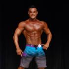 Stephen  Mass - IFBB Prestige Crystal Cup 2014 - #1