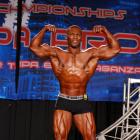 Elvernie  McGhee - IFBB Wings of Strength Tampa  Pro 2016 - #1