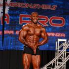 Elvernie  McGhee - IFBB Wings of Strength Tampa  Pro 2016 - #1