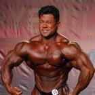 An  Nguyen - IFBB Wings of Strength Tampa  Pro 2014 - #1