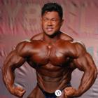 An  Nguyen - IFBB Wings of Strength Tampa  Pro 2014 - #1