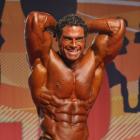 David  Hoffmann - IFBB Arnold Amateur 2011 - #1