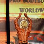 Laura   Carolan - IFBB Wings of Strength Tampa  Pro 2015 - #1