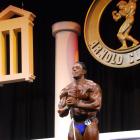 Men Bodybuilding  PreJudge - IFBB Arnold Amateur 2013 - #1