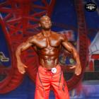 Michael  Anderson - IFBB Europa Show of Champions Orlando 2014 - #1