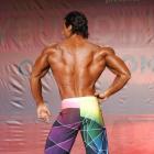 Sadik  Hadzovic - IFBB Wings of Strength Tampa  Pro 2014 - #1