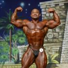 Timmy  Gaillard - IFBB Europa Super Show 2014 - #1