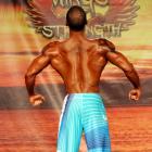 Duane  Brickhouse - IFBB Wings of Strength Tampa  Pro 2015 - #1