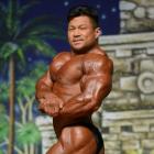 An  Nguyen - IFBB Europa Super Show 2014 - #1