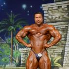 Sergey  Shelestov - IFBB Europa Super Show 2014 - #1