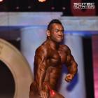 Hidetada  Yamagishi - IFBB Arnold Classic 2016 - #1