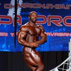 Renaldo  Gairy - IFBB Wings of Strength Tampa  Pro 2016 - #1