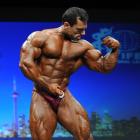 Muhammad Masoom Butt - IFBB Toronto Pro Supershow 2012 - #1