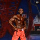 Michael  Anderson - IFBB Europa Show of Champions Orlando 2014 - #1