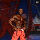 Michael  Anderson - IFBB Europa Show of Champions Orlando 2014 - #1