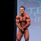 Brook  Ogle - NPC Texas Shredder Classic 2013 - #1