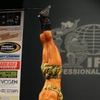 Amanda  Marinelli - IFBB NY City Pro Fitness  2010 - #1