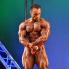 Steve  Namat - IFBB Jacksonville Pro 2010 - #1