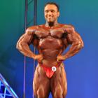 Steve  Namat - IFBB Jacksonville Pro 2010 - #1